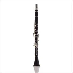 Ashton CL10 Clarinet Woodwind CL-10
