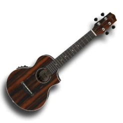 Ibanez UEW13MEE Concert Ukulele With Pickup Macassar Ebony Pro-SCM Setup