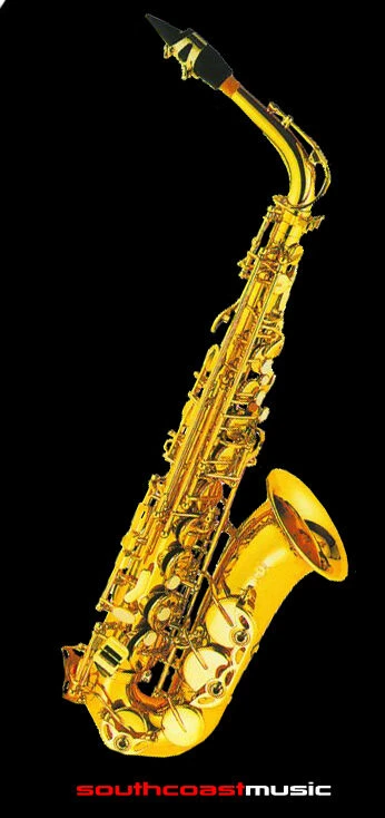 Eb Alto Saxophone Outfit By Fontaine – Fontaine Alto Saxophone Outfit With Hard Case 2 Eb Alto Saxophone Outfit By Fontaine – Fontaine Alto Saxophone Outfit With Hard Case - Image 2