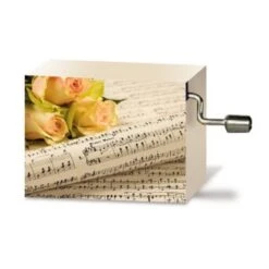 Johann Strauss -Novelty Music Box -STRAUSS ROSES DONAUWALZER- Wind Up Music Box By Vienna World