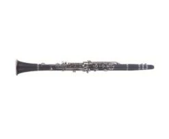 FONTAINE FBW210 Bb CLARINET W CASE
