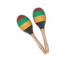9 INCH MARACAS MULTI COLOURED AMS ED765