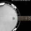 HAL LEONARD BANJO CHORD FINDER BOOK 2800 CHORDS LEARN TO PLAY BOOK