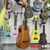 Boulder Creek Riptide Ukulele Acoustic-Electric Baritone All Mahogany Twin Port Construction