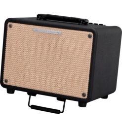Ibanez Troubadour T30 30 Watt Acoustic Guitar Amplifier Combo Amp