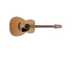 TP1M Takamine Pro Series P1M Natural Gloss Solid Cedar Top Acoustic Electric Guitar