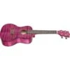 Kala KA-CEM Magenta Concert Ukulele With Figured Mahogany Top Back & Sides