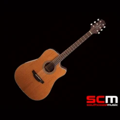 Takamine GD20CE NS Dreadnought Cutaway Acoustic Electric Guitar Natural