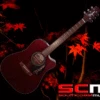 Takamine EF340SC STR Cutaway Acoustic-Electric Guitar Translucent Red Finish Made In Japan