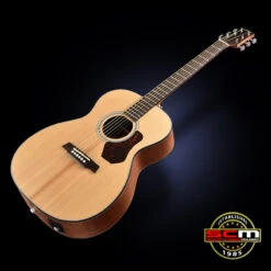 Walden O550E Natura Solid Spruce Top Orchestra Acoustic-Electric Guitar I Open Pore Satin Natural Finish I Pro-SCM Professional Setup